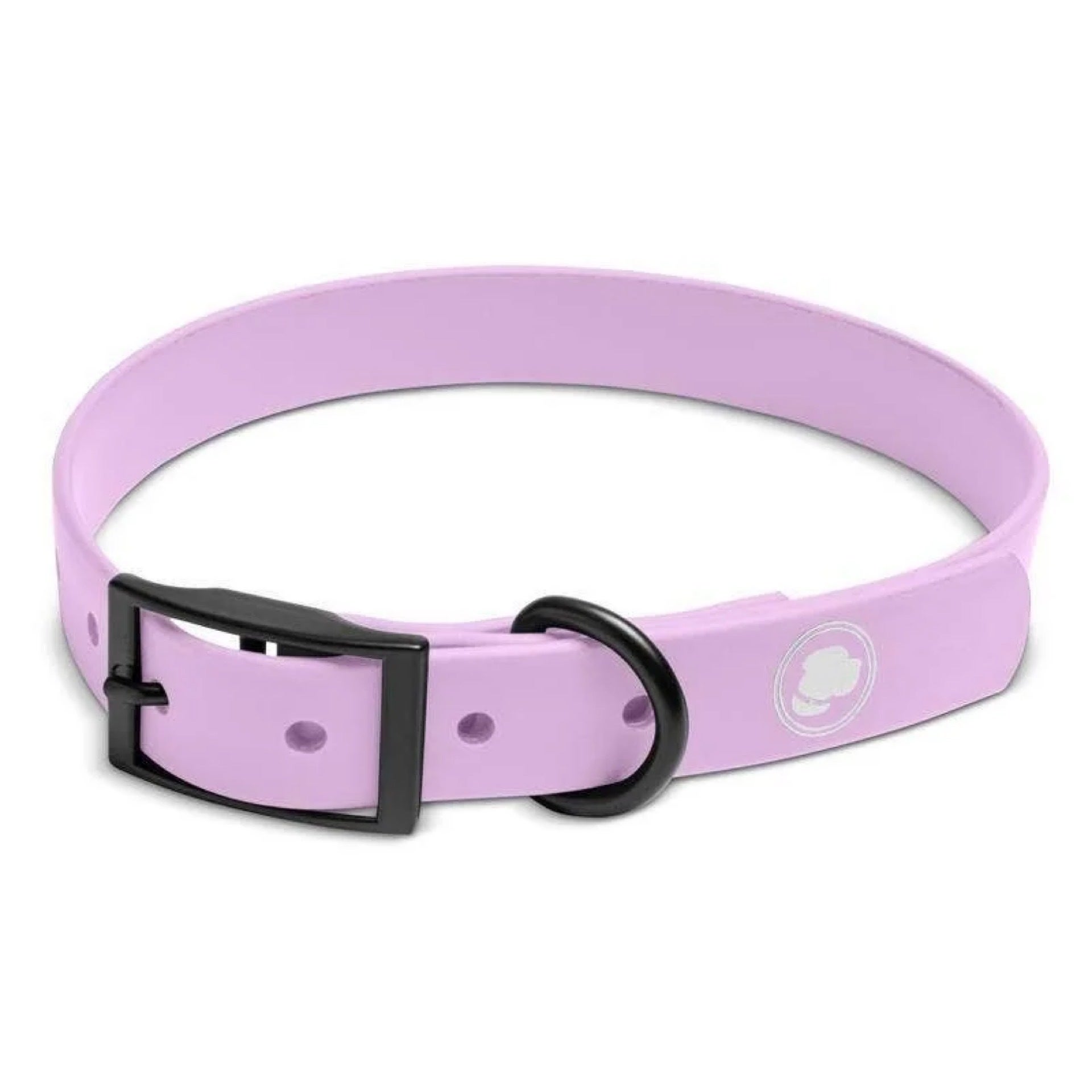 Modern dog hot sale leash